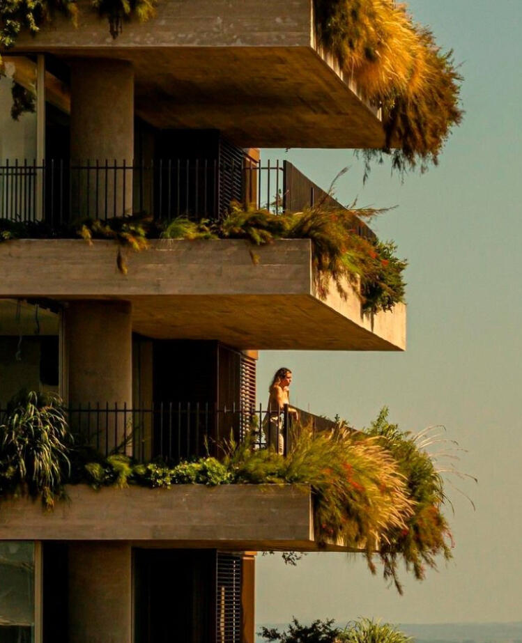 Que nos hace Castellanos